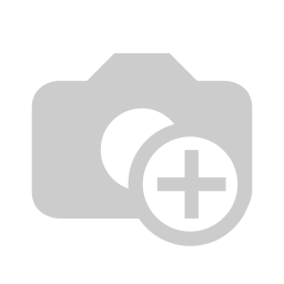 skyroamsolutions.com